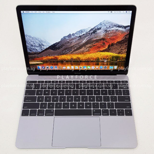 Macbook 2016 (12-inch Retina Display, 256GB, Space)