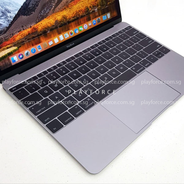 Macbook 2016 (12-inch Retina Display, 256GB, Space)