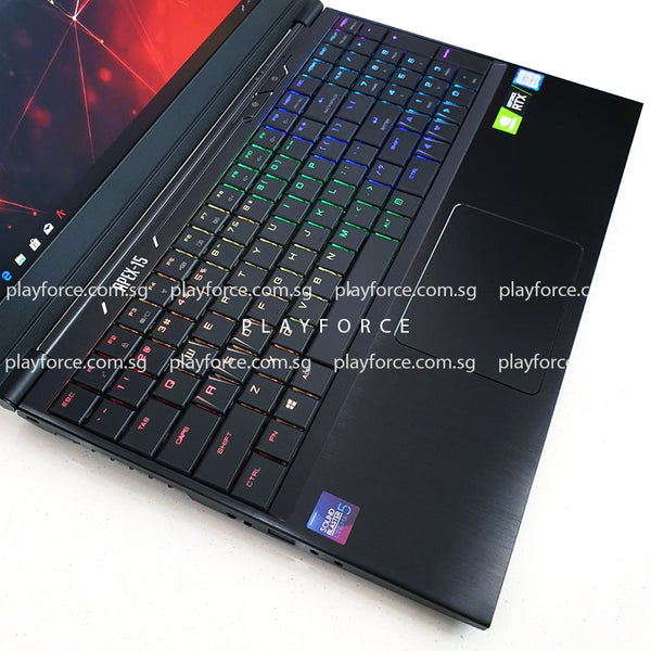 Apex 15 (i7-8750H, RTX 2070, 16GB, 1TB SSD, 15.6-inch)