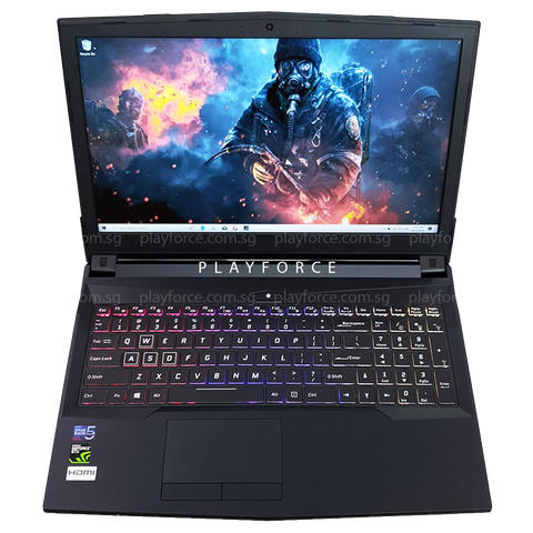 MX15 Pro (i7-8750H, GTX 1060, 8GB, 1TB+128GB SSD, 15-inch)